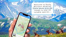 Tunnel Mountain Trail: a Smartphone Audio Nature Tour 