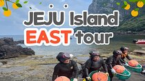 UNESCO Jeju Island EAST Tour (entrance fee included)