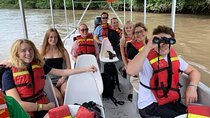 Palo Verde Wildlife Safari : Boat Tour & Traditional Lunch