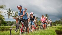 Bali Cycling and Uluwatu Sunset Tour with Dinner Packages
