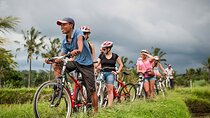 Bali Cycling and Ayung Rafting Packages