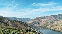 Discover Authentic Douro Tour