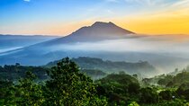 Ubud, Waterfall, Temple, Rice Terrace and Kintamani Volcano Tour