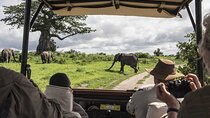 3 Days Masai Mara and Lake Naivasha Tour with Accommodation