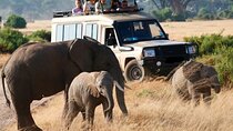9 Days Kenya Wildlife Experience on 4X4 Jeep Safari