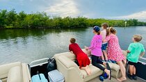 Dolphin/Manatee Pontoon Boat Tour with Local Expert