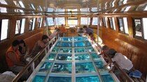 Glass Bottom Boat in Sharm El Sheikh
