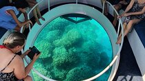 Dimaniyat Island Tour on Glass Bottom Boat (Muscat)