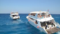 Activities on Red Sea Dolphin Watching and Lunch from Hurghada 