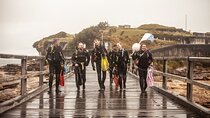 Half-Day Private Discover Dive at Australia's Iconic Beach