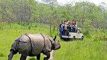 Explore Kathmandu Chitwan Safari Combined Pokhara Private Tour
