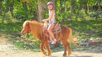 Horseback Riding and Zipline Jungle Adventure