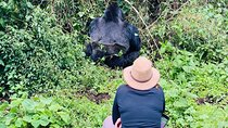 2 Days Ultimate Gorilla trekking