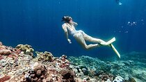 Swim With Manta Rays Lembongan Snorkeling and Day Tour