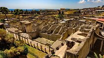 From Naples: Herculaneum Guided Tour & Entrance Ticket Included 