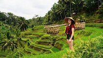 Private Bali Tour - All Inclusive 