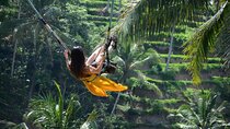 Ubud Highlights Private Day Tour
