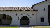 Private Tour to Undurraga Vineyard from Santiago