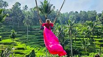 Best of Ubud with Jungle Swing Experience 