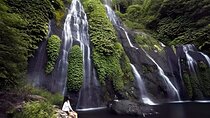 Bali Full-Day Hidden Hills, Twin Waterfalls and Hot Spring Tour