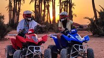 Marrakech: Quad Bike Tour in palm grove 