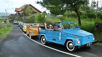 Bali Full-Day Best of Ubud Tour by VW Safari Classic Car