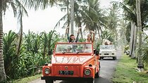 Bali Full-Day The Gate of Heaven Tour by VW Safari Classic Car