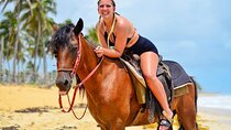 Punta cana beach Sunset Horseback riding 