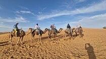 Shared 2 Days Fes Desert Tours to Merzouga back to Fes