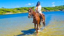 Horse back riding (Punta Cana/Bavaro)