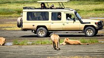 Ngorongoro Crater Day Trip With Pick Up