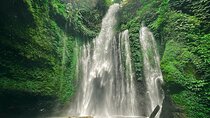 Waterfall Trip (Sendang Gile & Tiu Kelep Waterfall) North Lombok