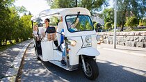 Private Electric Tuk Tuk Tour in Rome