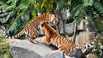 5 Days Golden Triangle Tour with Ranthambore(Delhi Agra Jaipur Ranthambore Tour)