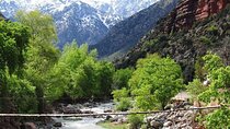Atlas Mountains & Ourika Valley Private Day Trip From Marrakech