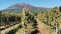Private tour Ercolano Ruines and Wine tour tasting