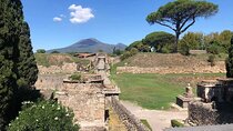 Pompeii ruins and wine tour from Positano