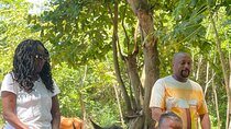 Horseback Ride from Ocho Rios