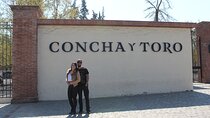 Concha y Toro Vineyard Traditional Tour