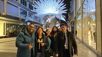 London Exclusive Christmas Lights Guided Tour by Black Cab