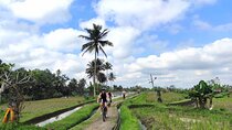 Ubud eBikes Tour to Tegallalang Rice Terrace