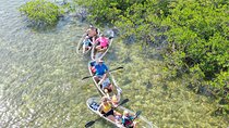 Guided Clear Kayak Eco-Tour Near Key West