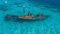 Cancun Snorkeling Adventure: Turtles, Reefs & Underwater Wonders