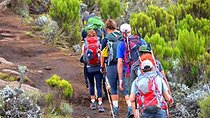 Kilimanjaro day trip starting from Arusha