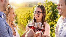 Napa and Sonoma Full-Day Wine Tour from San Francisco
