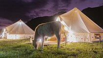 2 Days Andean Glamping with Locals in the Sacred Valley of Pisac