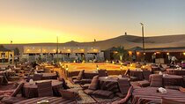 Dubai Afternoon Desert Safari and BBQ Dinner