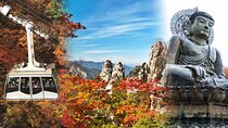 Autumn limited: Seoraksan & Maple Mountain Cable Car Tour