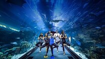 Dubai Aquarium underater zoo penguin cove with optional transport