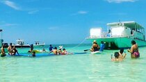Miami: Party Boat Sandbar Island & Toys 